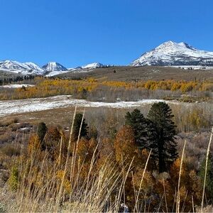 Meet your Posher, Jenn